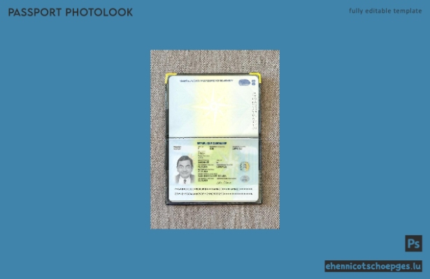 Beispielansicht eines Passfotos für Gabuner